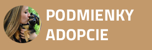 Podmienky adopcie