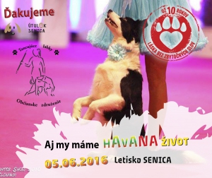 10 te výročie