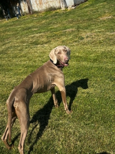 LUNA